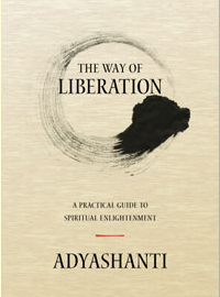 Review: <i>The Way of Liberation</i> by Adyashanti Review: <i>The Way of Liberation</i> by Adyashanti
